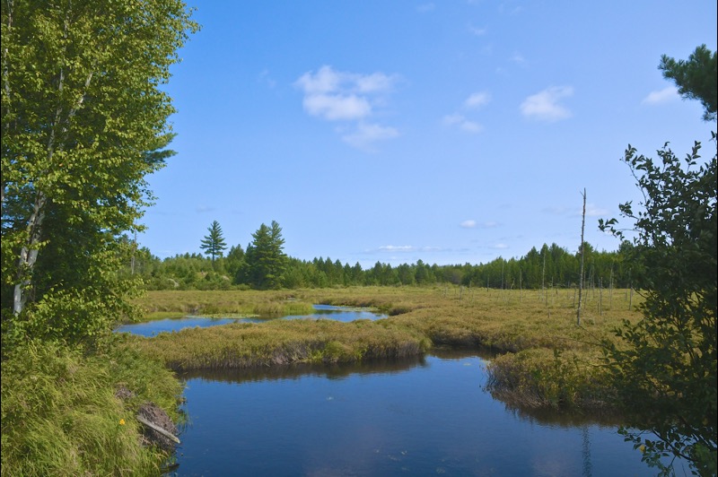 Republic Champion Grade Trail